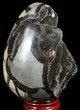 Septarian Dragon Egg Geode - Black Crystals #57432-1